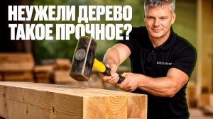 Неужели дерево такое прочное? Испытание деревянных конструкций