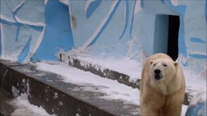 Кай купается когда он хочет 24.03.2026