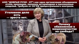 СК, вмешайтесь! Схема продолжает работать? | ВТБ настаивает на долге, защита — на хищении | КРИК-ТВ