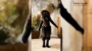 Алло доброе утро? Да нет сегодня выходной! 💖😁#смешно #утро