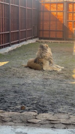 Притомился я..а что там?