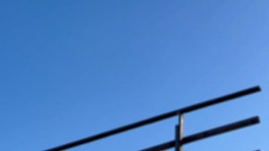 24.03.2026г Сборная,Магазин для голубей,Победитель,Гон Птицы!!!