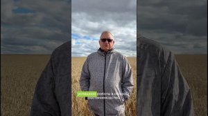 «Хорошо проработанные препараты, которые дают эффект на поле и по-настоящему работают»