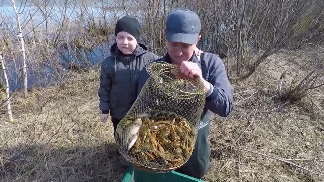 Ловля Раков Ранней Весной на Китайские Раколовки! Неплохой Улов!