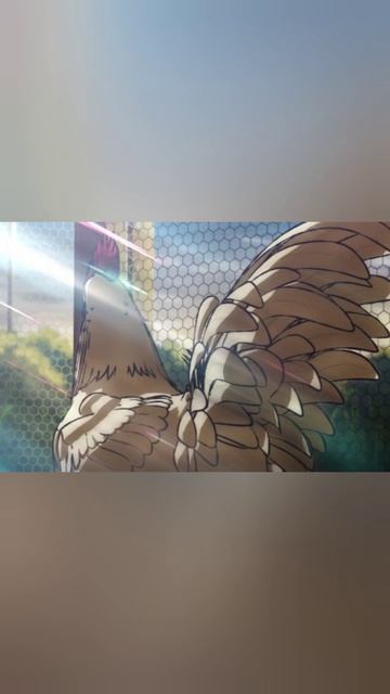 Он проснулся с курицей, но у него другая судьба 🐓