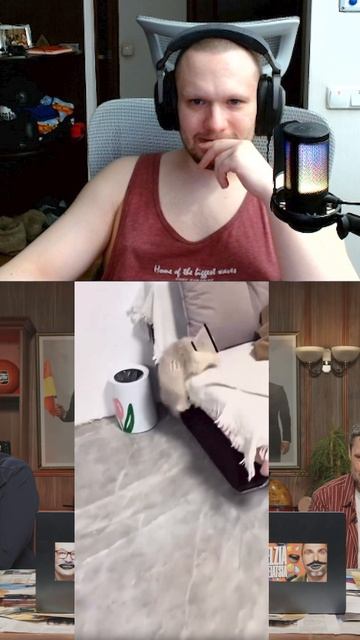 коты и собаки