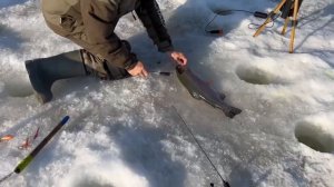 25.03.26 г. РК Волна.