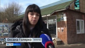 В тяжелом состоянии с пулей в голове. Иркутские волонтеры борются за жизнь бездомной собаки Найды