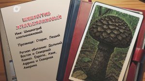 Агент биосферы / Шишкогриб хлопьеножковый / 25.03.26