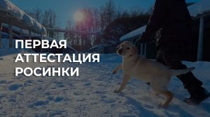 Росинка аттестация