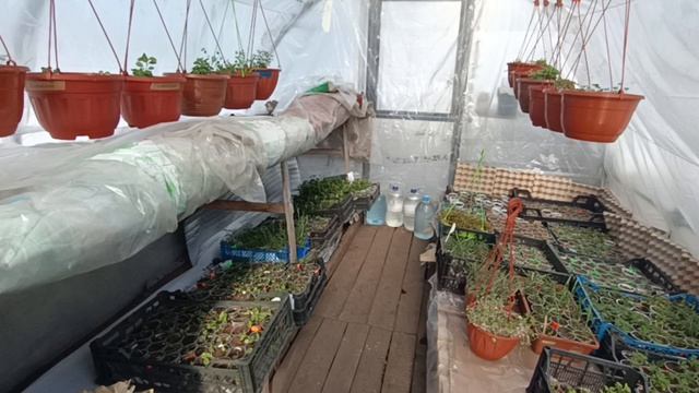 Ответы на вопросы😉