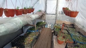 Ответы на вопросы😉