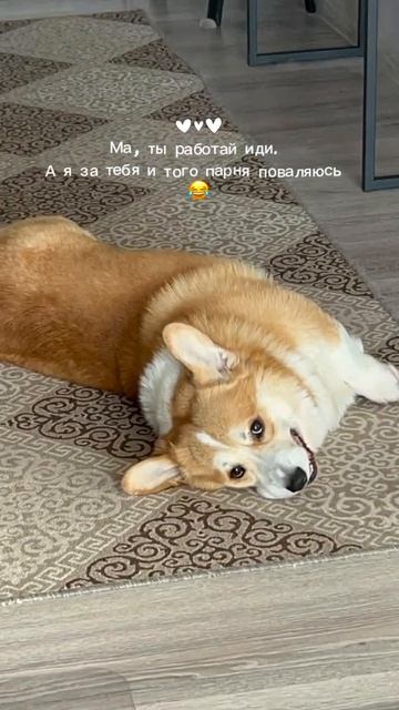 Надо работать 👩💻