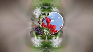 Весеннее Поздравление С Днём Рождения 3 от Киностудии Мудрого Кота Тимофея!