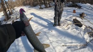 ОТКРЫТИЕ СЕЗОНА 2026.  ЩУКА НА СПИННИНГ с берега.