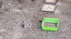 обед с водой и морковкой