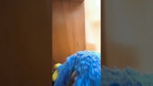 в нашей школе росгвардия!!! 😱😱😱