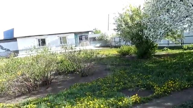 Продаю шикарную заимку-дом в селе Золотуха, Локтевский район, Алтайский край