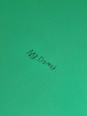 я новая блогерша