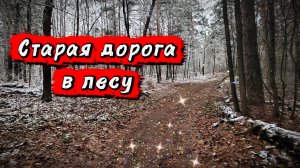 Нашёл продолжение старой лесной дороги.