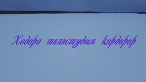 Ходоро телестудия 12 биэриитэ