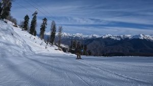 Роза26 Роман