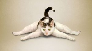 Практика 24.03.26