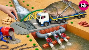 Мультик про машинки. Залипательное видео для детей. Игрушки, куклы, машинки. ASMR АСМР