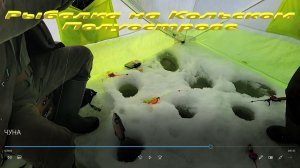 В поиске сига после глухозимья.