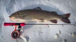 ОПАСНАЯ весенняя рыбалка в тайге. ЛЕНОК на короеда.