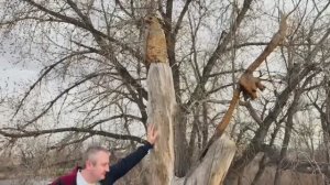 КАК ВЫЖИВАЕТ СЕМЬЯ СИБИРСКОГО ВРАЧА НА ЗАГНИВАЮЩЕМ ЗАПАДЕ.  Ищу вторую работу.