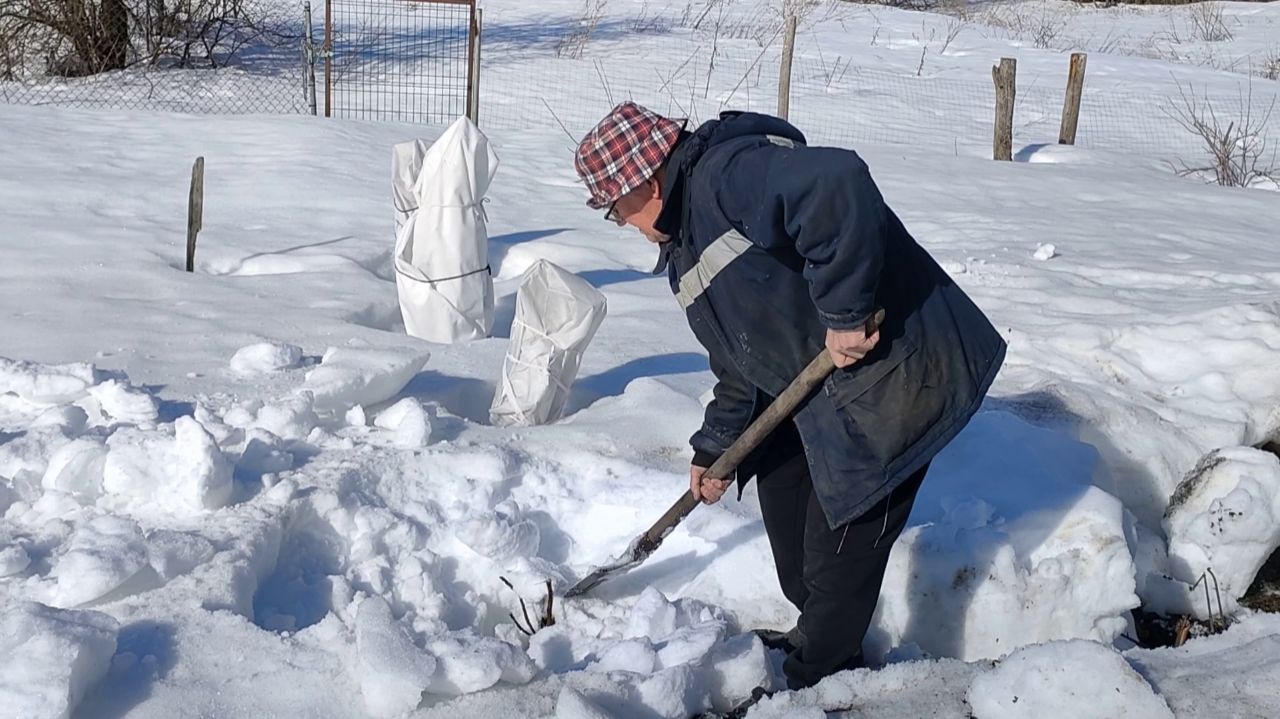 Сломали яблоньку, намочили погреб... Живем в деревне. Март 2026