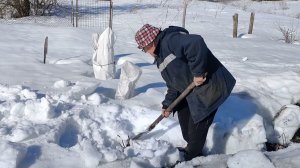 Сломали яблоньку, намочили погреб... Живем в деревне. Март 2026