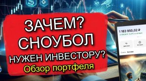 Обзор Портфеля Акций в Сноубол? В чем ПОЛЬЗА сервиса?