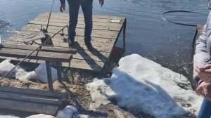 Светлые Горы 25.03.2026г.