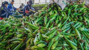 подборка корейской еды