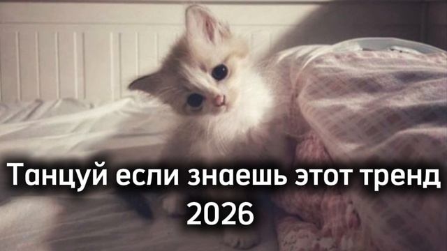 Танцуй если знаешь этот тренд 2026