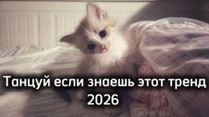 Танцуй если знаешь этот тренд 2026