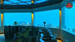 К БЕРЕГАМ ДРУГИМ