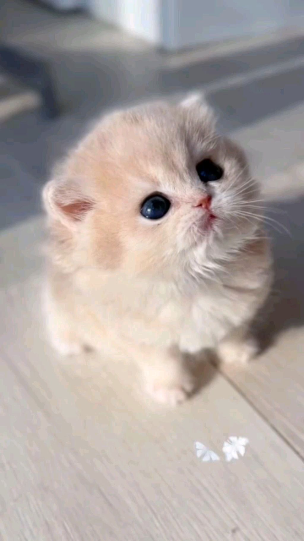хз смотреть онлайн
