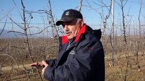 Открытие агрокласса в Новопоселковой школе Сулейман-Стальского района 2025 год.