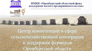 Анонс грантовой поддержки в Оренбургской области 2026 г.