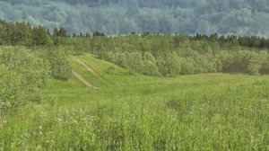 поле -  футаж hd (360p)