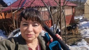 Приступила к обрезке сада. Новый инструмент. Радость в мелочах.