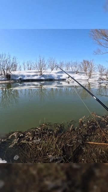 Сломался спиннинг Крези Фиш Версус #рыбалка