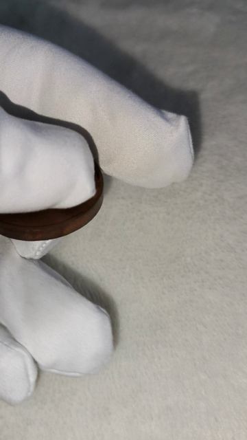 Фалеристика . Памятная медаль.