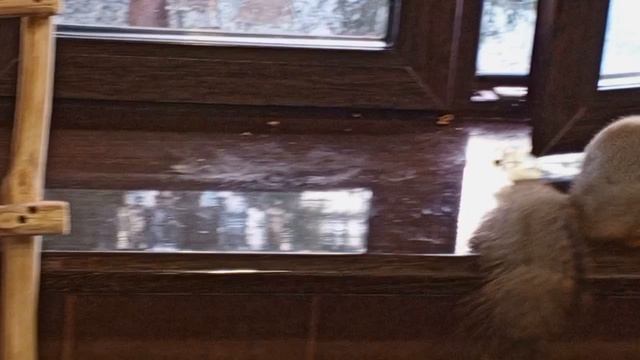 утро доброе