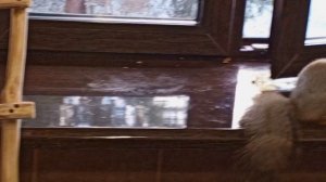 утро доброе