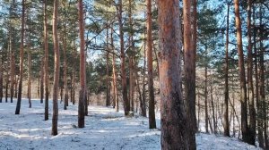 Верность себе и не только