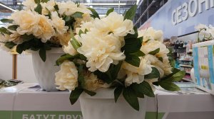 Прогулка и обзор магазина Магнит! #обзор